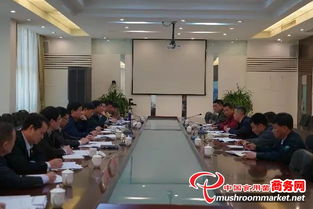 福建漳州市领导深入台商投资区，全力推进食用菌工厂化生产与投资管理工作